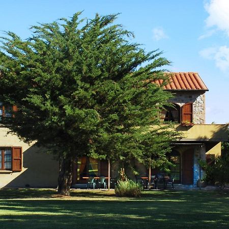 Appartamento Uva - Agriturismo Le Selvole Pomarance Exterior photo